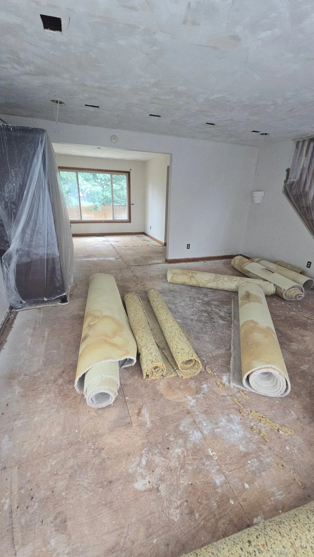 Old carpet and pad pulled up at the start of a remodel in Golden, CO